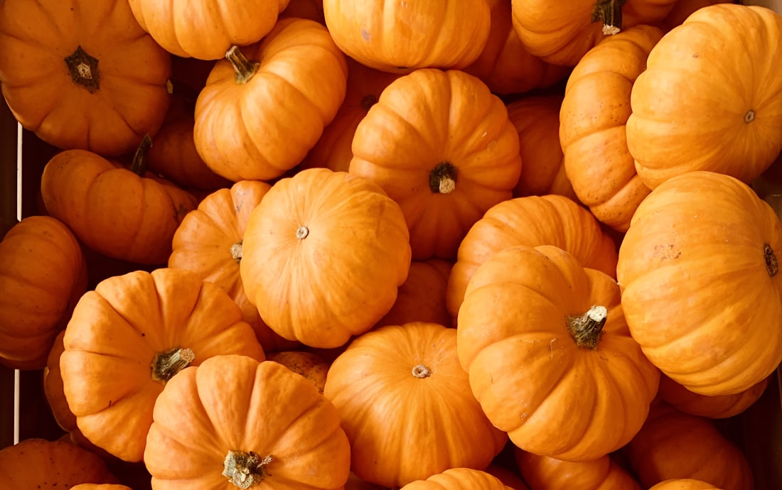 Orange: Pumpkins