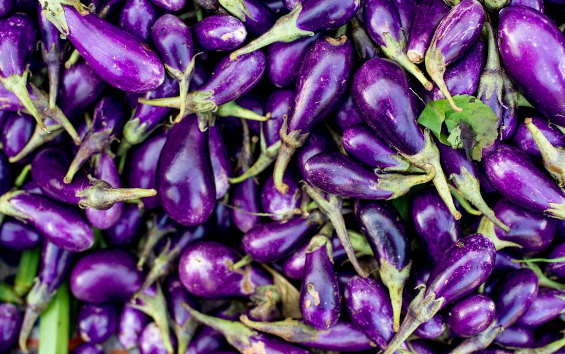 Purple: Purple eggplants